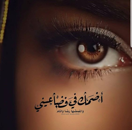 خطة المبيعات تشديد فاقد الوعي بيت غزل قصير خليجي Cfhtb2013 Org