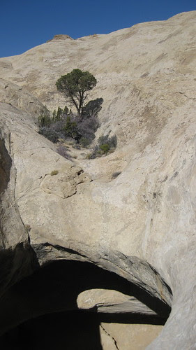03.27.10 Wild Horse Window