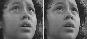Example of tear and non-tear photos from a study by Randolph Cornelius