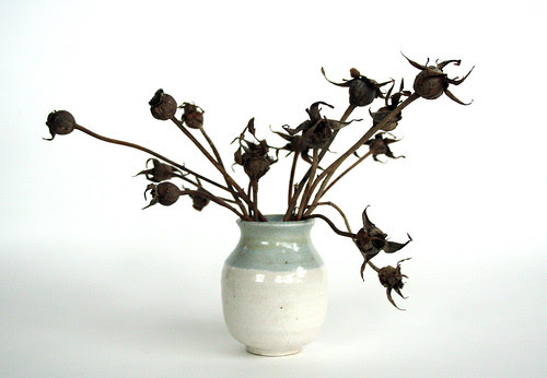 rosehips