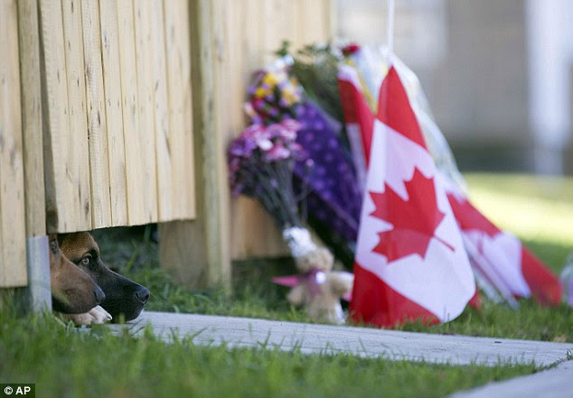Waiting: Cirillo's son is now expected to stay with his mother, Kathy, who has helped with his care
