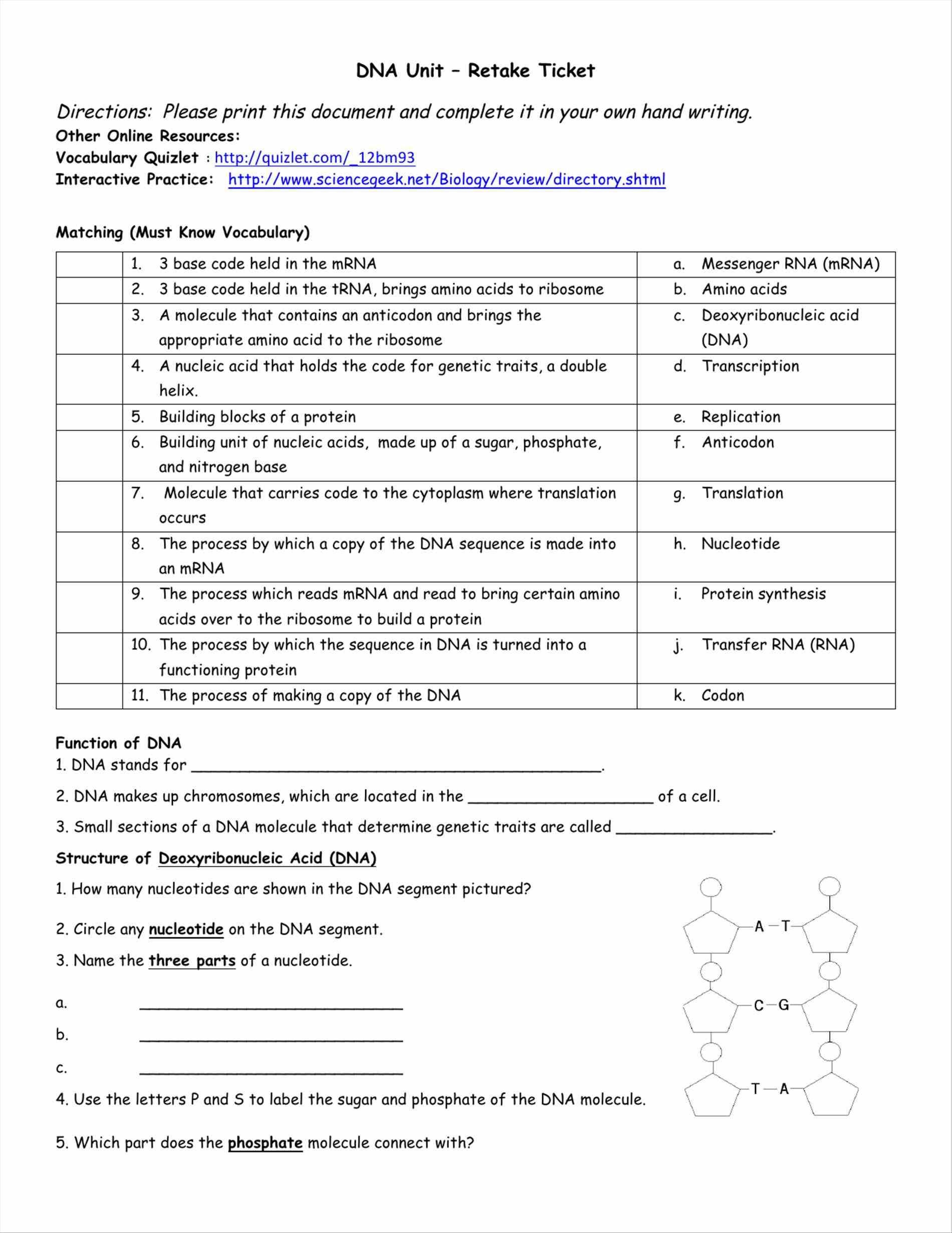 Mr Hoyle Rna Worksheet Answers - Promotiontablecovers