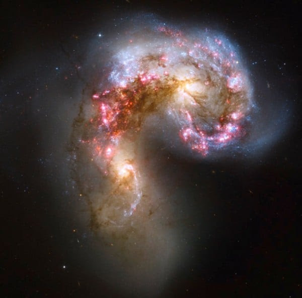 The image shows nearby emission line galaxies NCG 4038 - 4039. The pink parts in this image are showing the light from the gas heated by newly formed stars.
