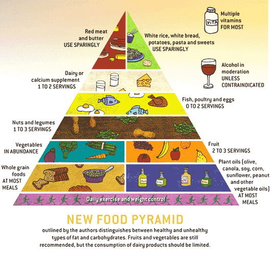 food pyramid 2011