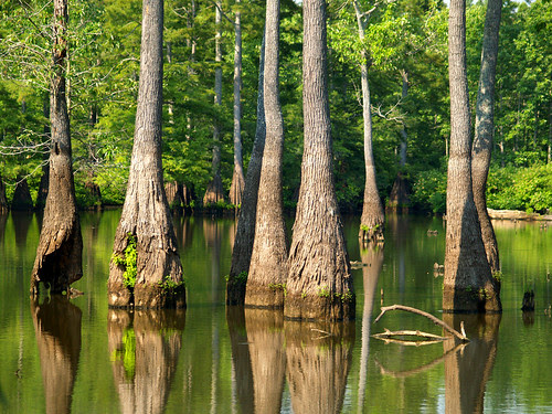 Apple Lake