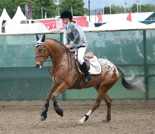 Showjumping