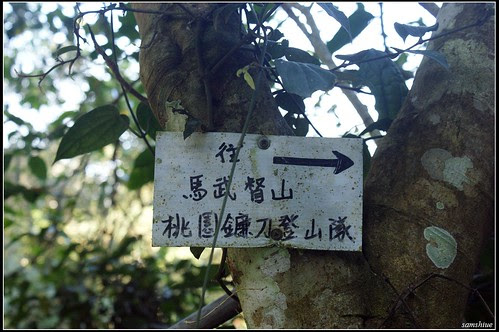 DSC03861