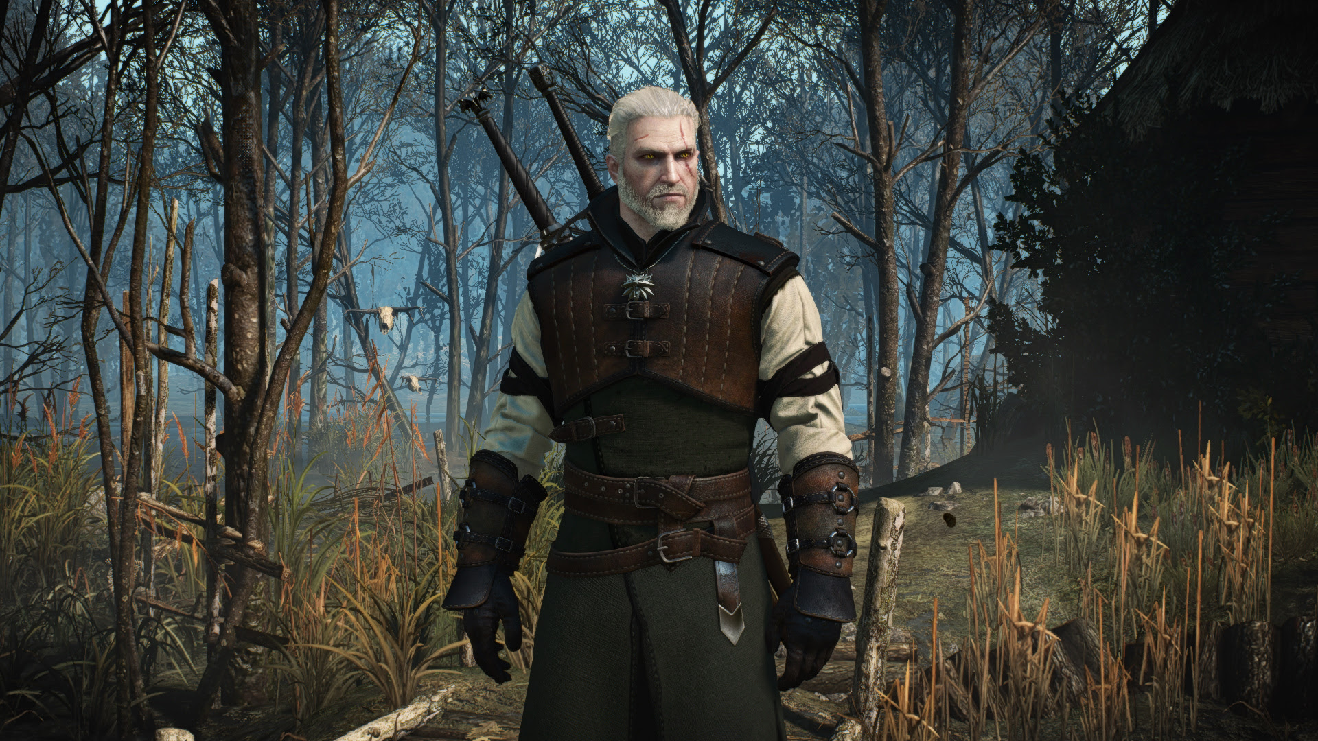 The witcher 3 school фото 66