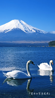 選択した画像 富士山 壁紙 高画質 スマホ 富士山 壁紙 高画質 スマホ