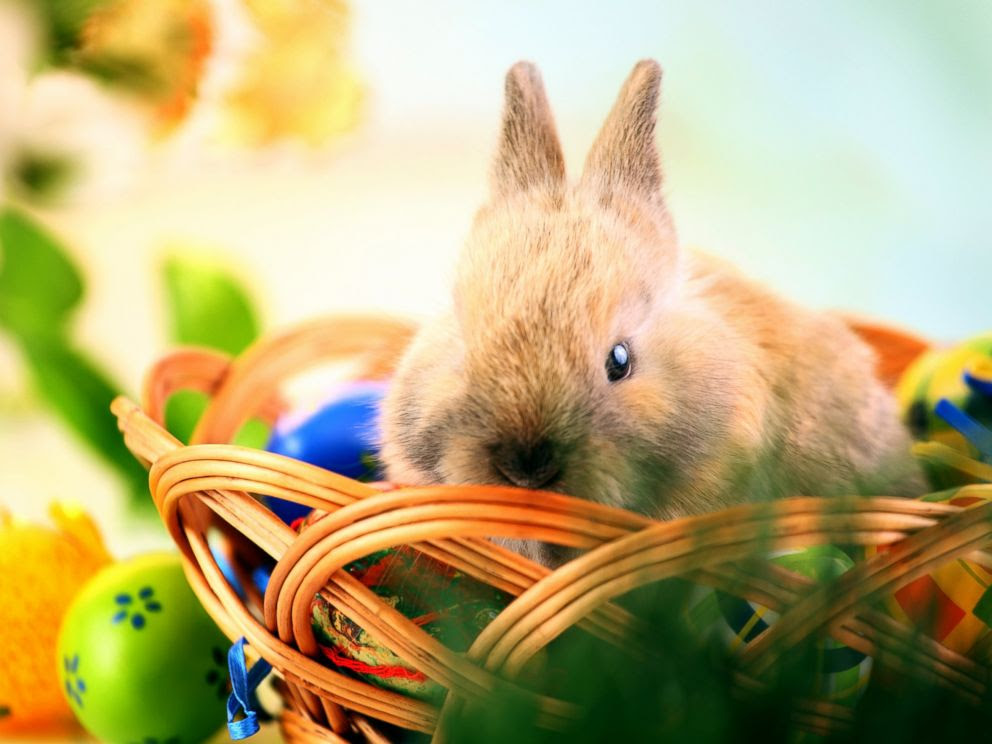 English is FUNtastic: How a bunny, baskets and eggs got connected with
