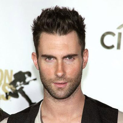 Calvin Harris Hairstyles For Men Adam Levine Short Spiky Hairstyle