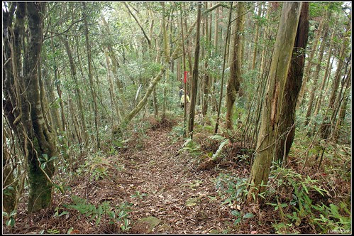 DSC04024