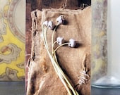 Dried Scapes, photo block by kerri