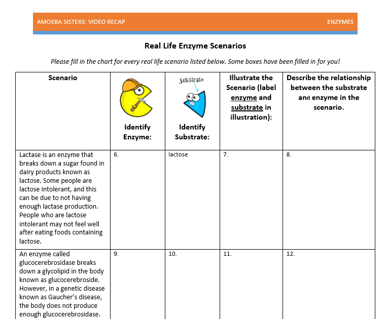 Amoeba Sisters Video Alleles And Genes Worksheet Answers - Amoeba