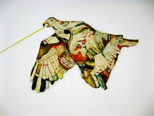 Close up of the bird.