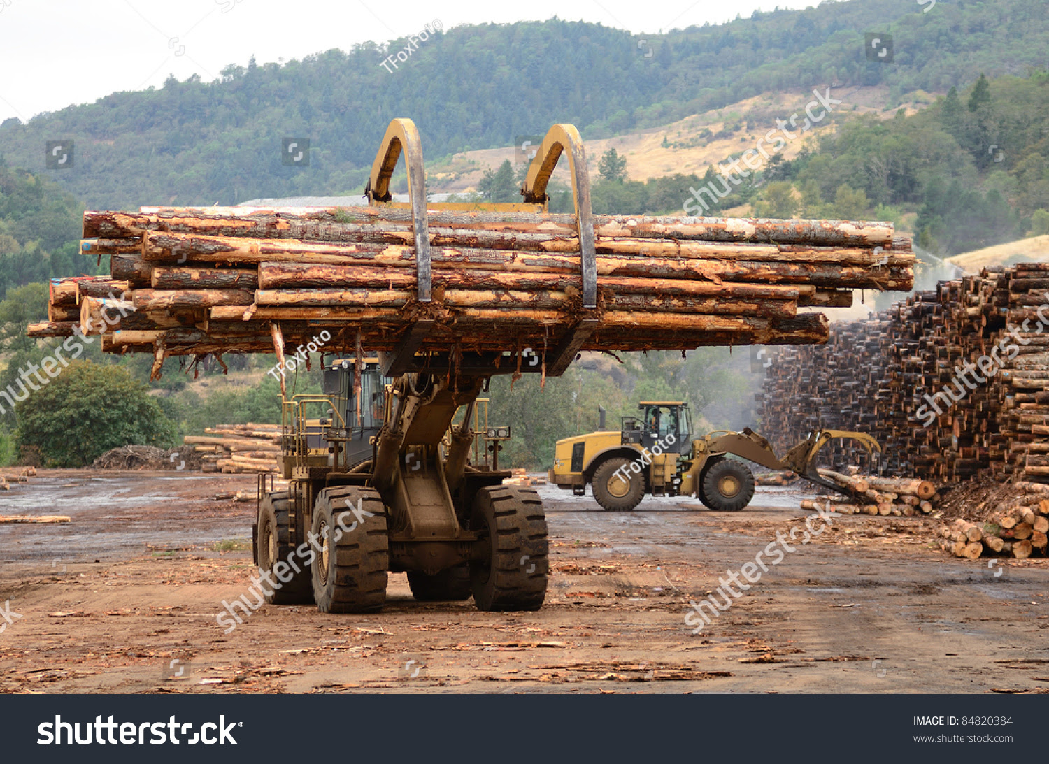 Hardwood Lumber Mills Near Me - ofwoodworking