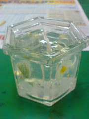0505115615.JPG
