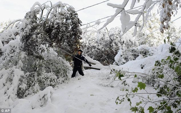 Clean up begins: Jay Ericson clears snow of branches weighing down on power lines at his home following a snow storm a day earlier in Glastonbury, Connecticut today