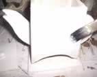 Esmalte