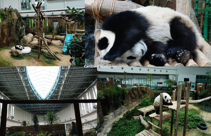 Haiwan Yang Ada Di Zoo Negara | Arfimamei