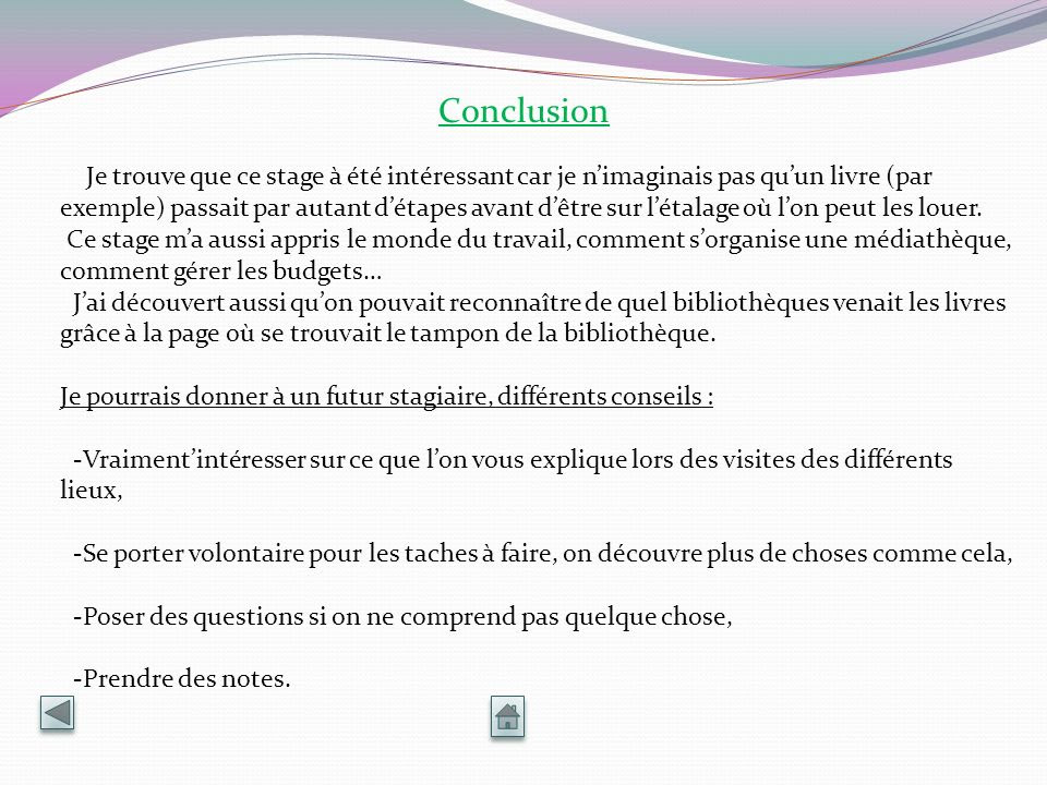 Exemple Rapport De Stage Bac Pro Tisec  Le Meilleur Exemple