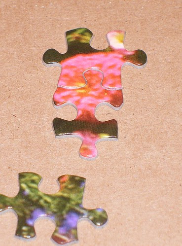 Puzzle Pieces