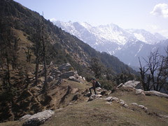 the view