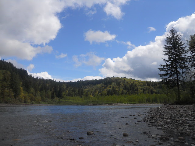 spring2011 272