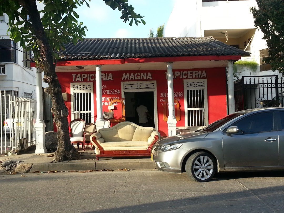 Tapicería Manga