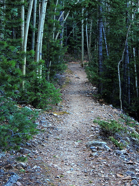 Fast single-track (rail grade) brings the ride to an end. Fast single-track (rail grade) brings the ride to an end.