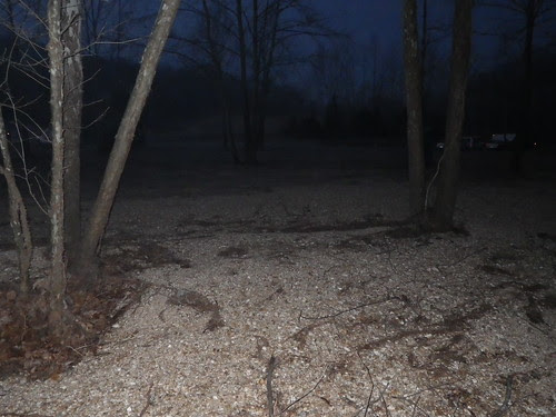 IMGP0555