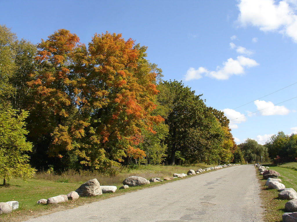 Fall colours at Greenwood Conservation