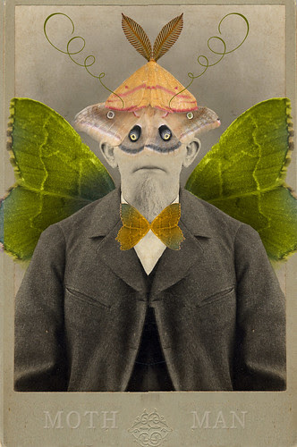 Moth Man