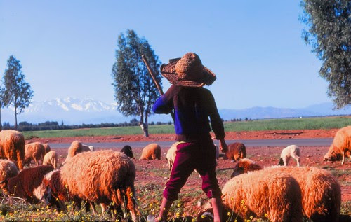 Shepherd Boy, Marrakech