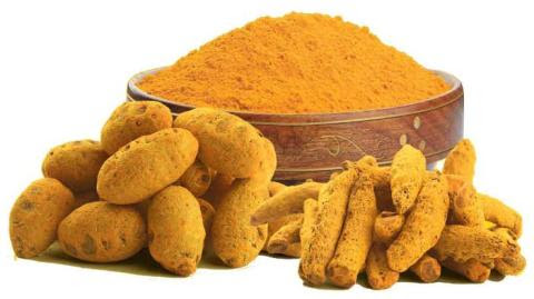 सावन का महीना: भगवान शिव को करना हैं खुश तो ना करें ये 4 गलतियां