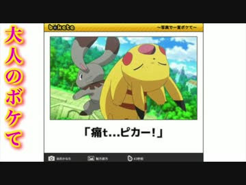 トップ100ポケモン ボケ て 面白い 画像 すべての動物画像