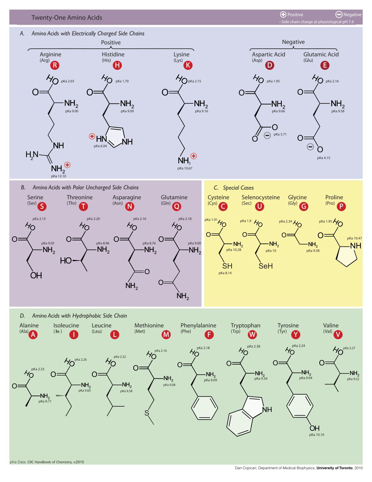 Table of Amino Acids.