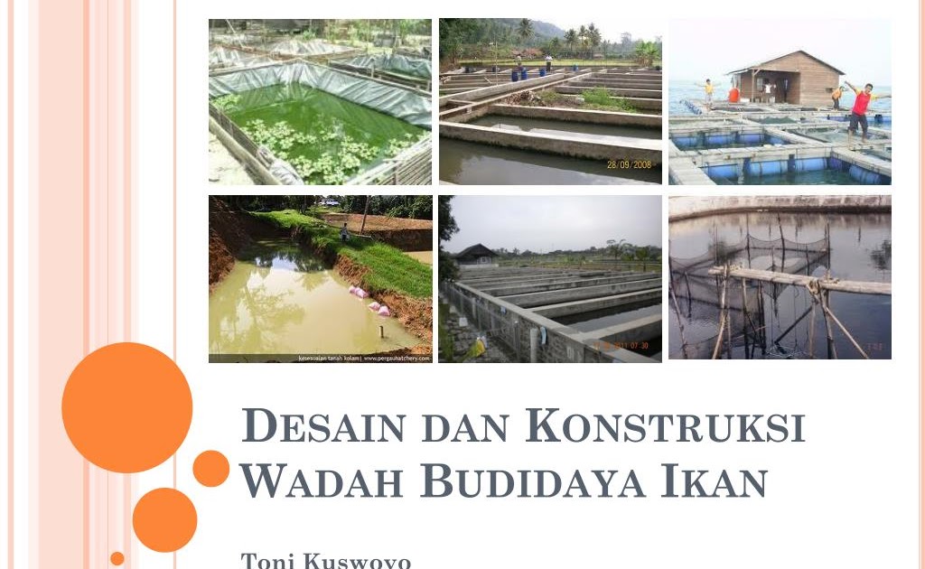 Struktur Kolam Ikan : Wadah Budidaya Perikanan Kolam Tanah ...