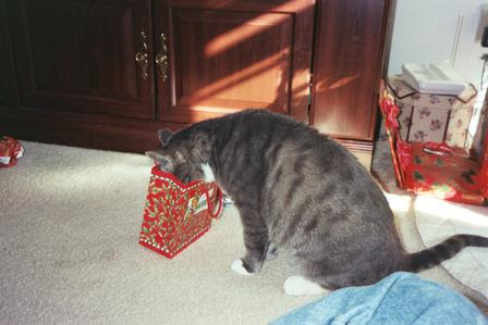Kat present