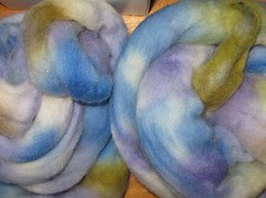 wooly daisy blue