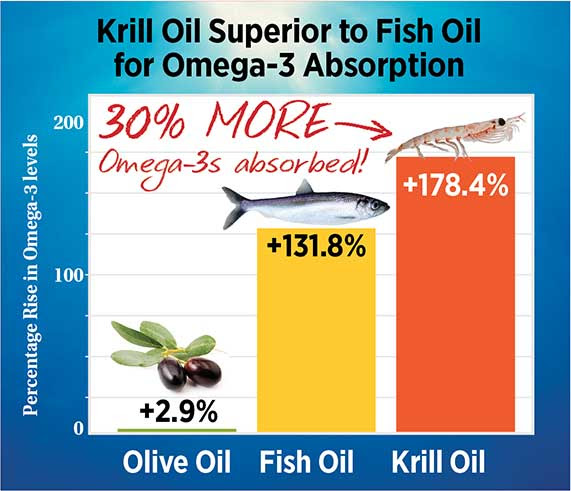 krill vs fish