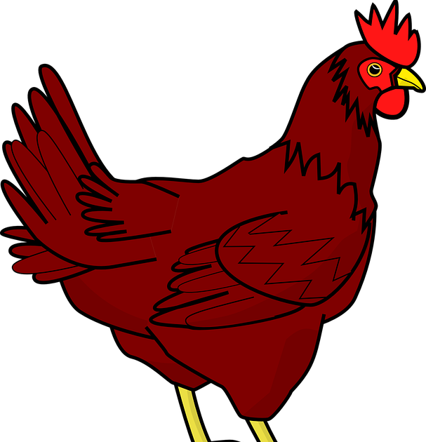 Gambar Hewan Ayam Animasi - Klik OK