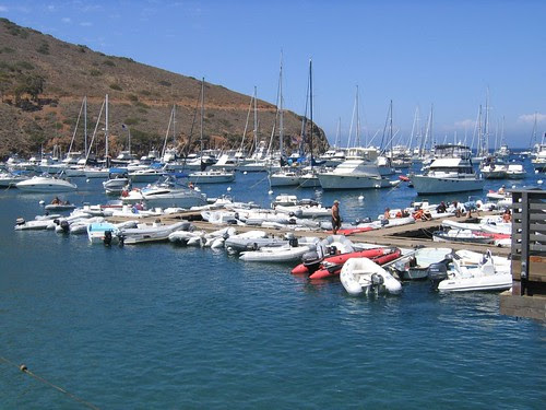 Isthmus cove 2