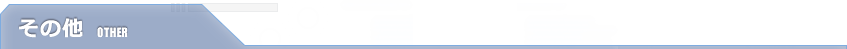 その他