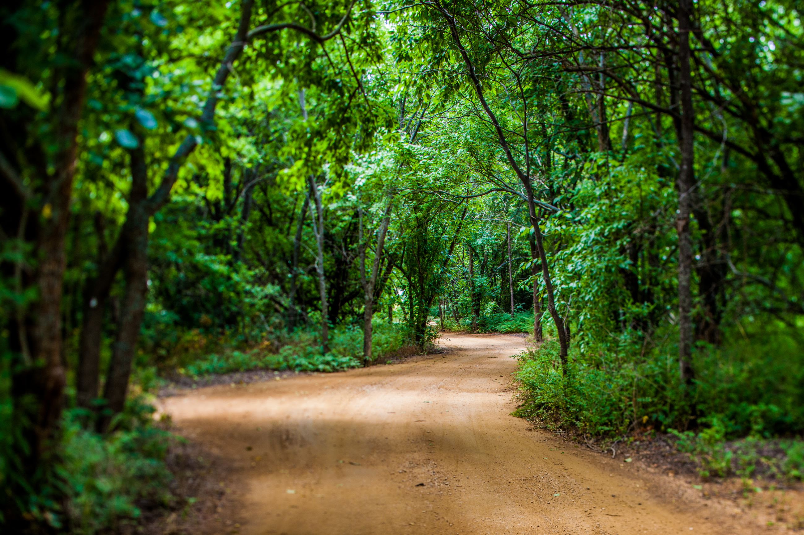 Nature Trails Visit The Colony TX Nature Trails Visit The Colony TX