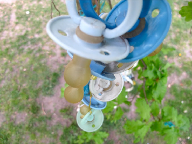Fruit from the pacifier tree