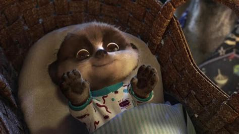 Meerkat Baby Oleg HD Wallpapers Meerkat Baby Oleg HD Wallpapers
