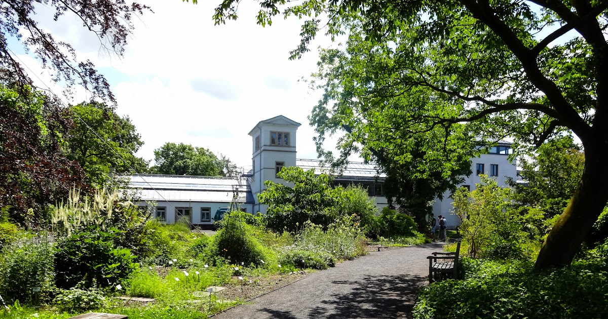 Botanischer Garten Großpösna File Grossposna Stromthaler