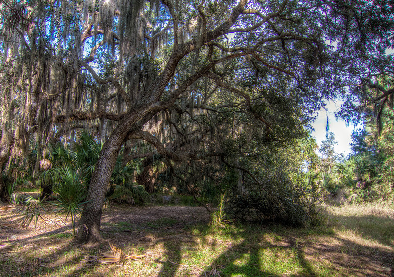 Photo & Video Sharing by SmugMug Photo & Video Sharing by SmugMug