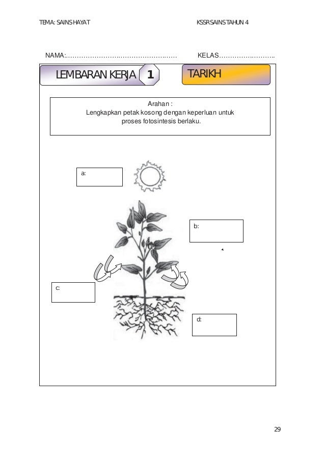 Modul Soalan Sains Tahun 5 - Harbolnas e